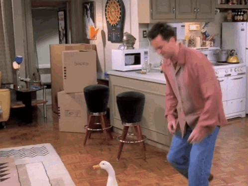 Friends Friendstv GIF