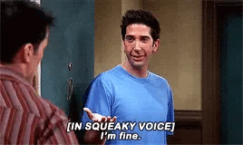 Friends Ross Geller GIF. This 268 x 160 animated GIF is part of our ross im fine collection. Related themes include joey tribbiani, okay. Created by…