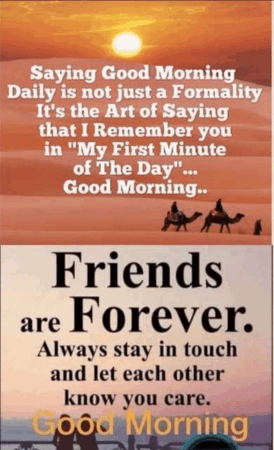 Friendship Meme