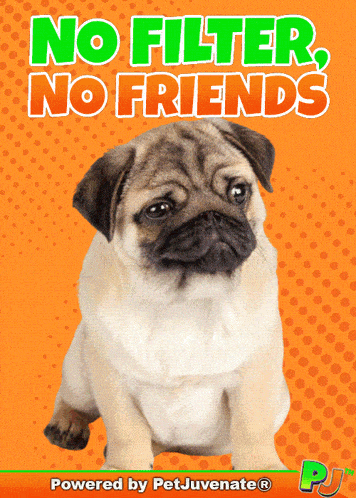 Friendship Pj Petjuvenate Shut GIF