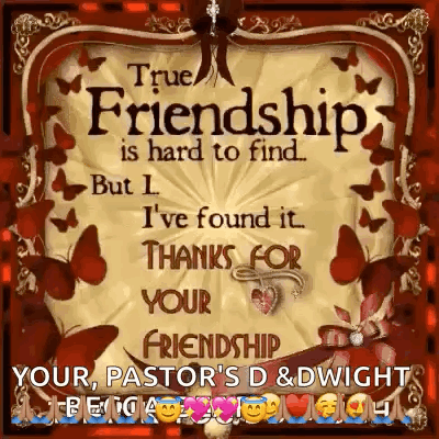 Friendship True Friendship GIF