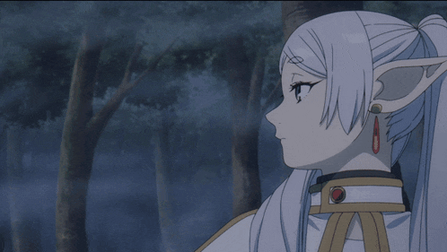 Frieren Anime GIF