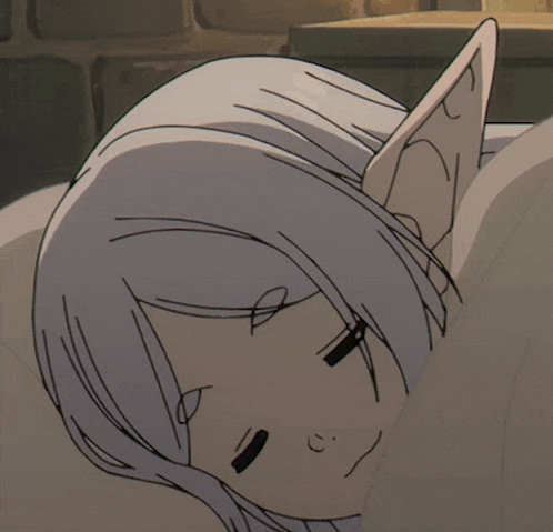 Frieren Anime GIF
