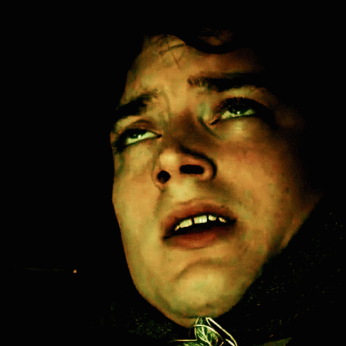 Frodo Frodon GIF