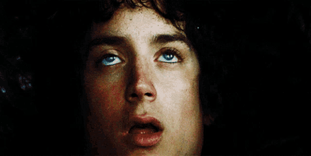 Frodo Frodon GIF