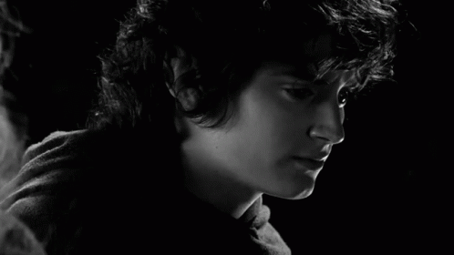 Frodo I Wish None This Had Happened GIF