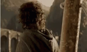 Frodo Lotr GIF