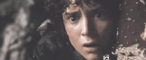 Frodo No GIF