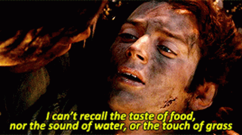 Frodo Recall GIF