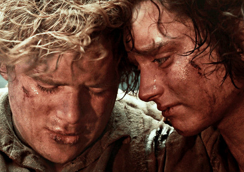 Frodo Sam GIF