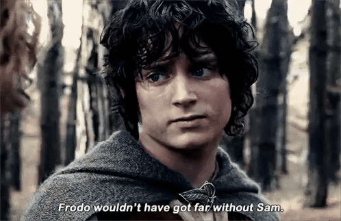 Frodo Sam GIF
