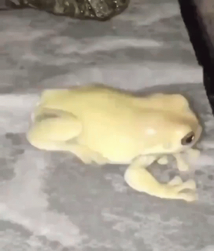 Frog GIF. This 423 x 498 animated GIF is part of our toad screaming collection. Related themes include frog. Created by cloudyfeet. View the original…