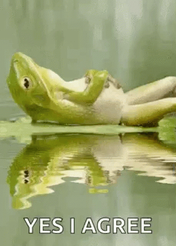 Frog Chill GIF