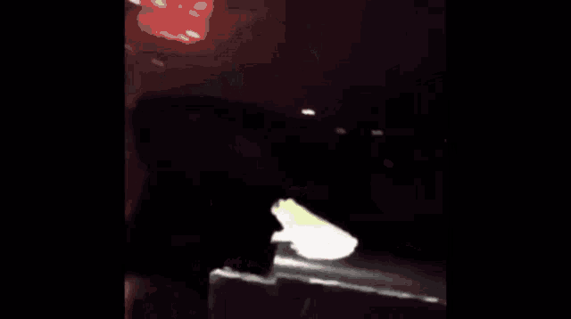 Frog Fireworks GIF