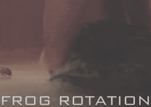 Frog Frogs GIF