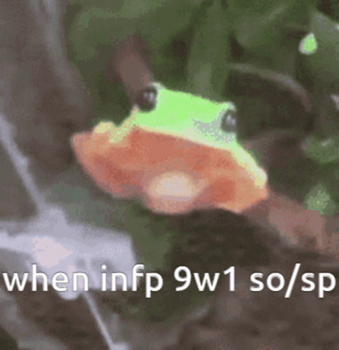 Frog Infp GIF. This 483 x 498 animated GIF is part of our mlg rainbow frog collection. Related themes include frog. Created by BlueberryBlues. View the…