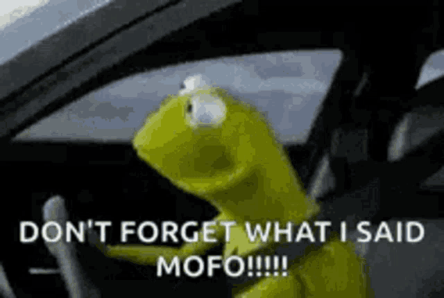 Frog Kermit GIF