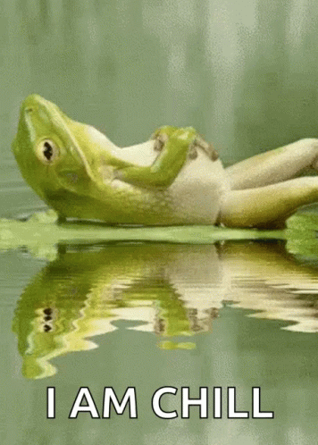 Frog Lily GIF