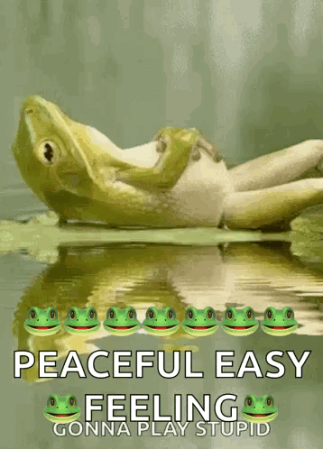 Frog Lily GIF