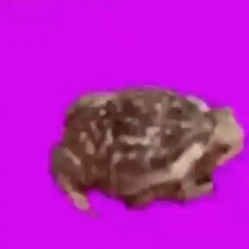 Frog Spin GIF. This 498 x 498 animated GIF is part of our mlg rainbow frog collection. Related themes include frog, rainbow. Created by ghostfish. View the…