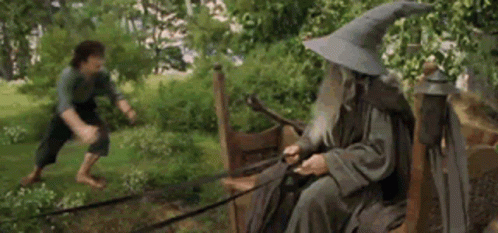 Froto Frodo GIF