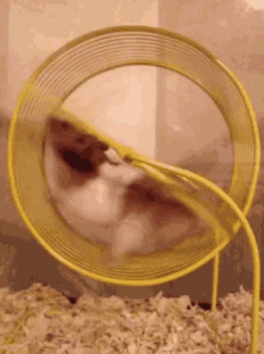 Frustration Me GIF