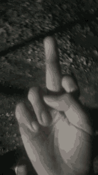 Fu Meme GIF