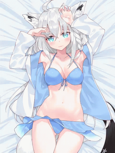 Fubuki Booba GIF