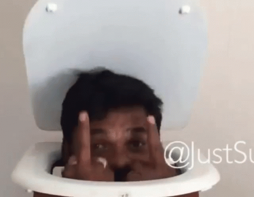 Fuckyou Toilet GIF