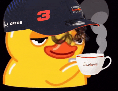 Fujo65 Daniel Ricciardo GIF