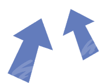 Fullframenl Arrow Sticker
