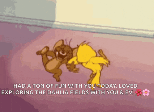 Fun GIF