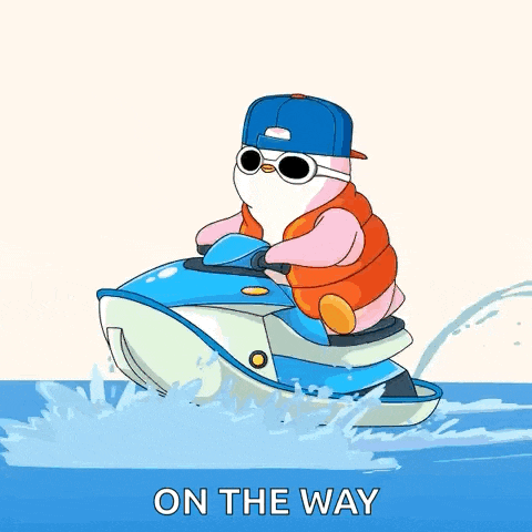 Fun Summer GIF