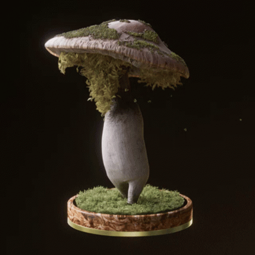 Fungi13 Fungiblefungi13 GIF
