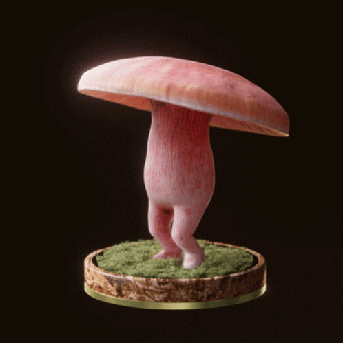 Fungi16 Fungiblefungi16 GIF