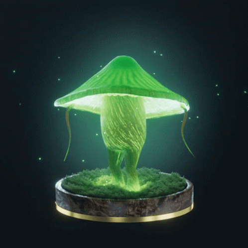 Fungi20 Fungiblefungi20 GIF