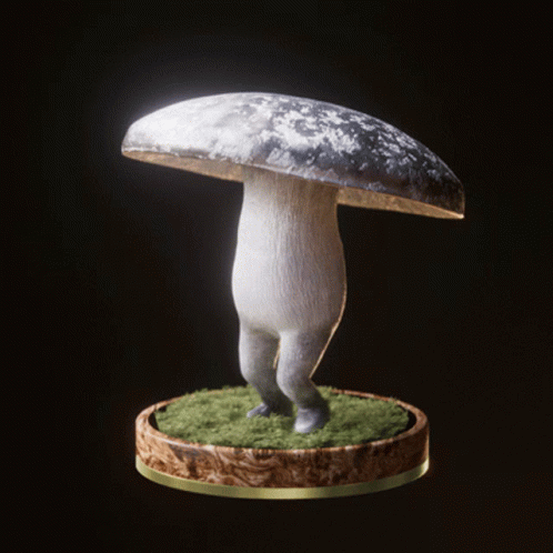 Fungi22 Fungiblefungi22 GIF
