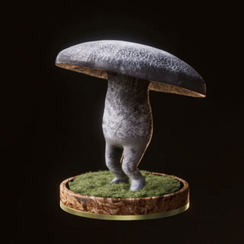 Fungi27 Fungiblefungi27 GIF