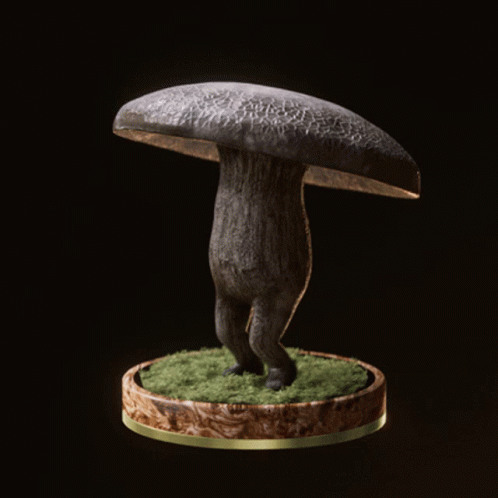 Fungi36 Fungiblefungi36 GIF