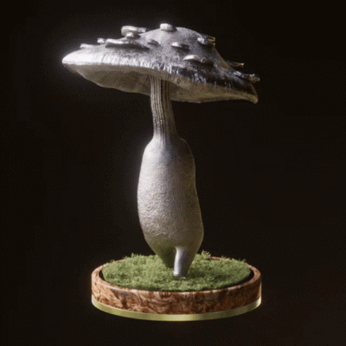 Fungi51 Fungiblefungi51 GIF