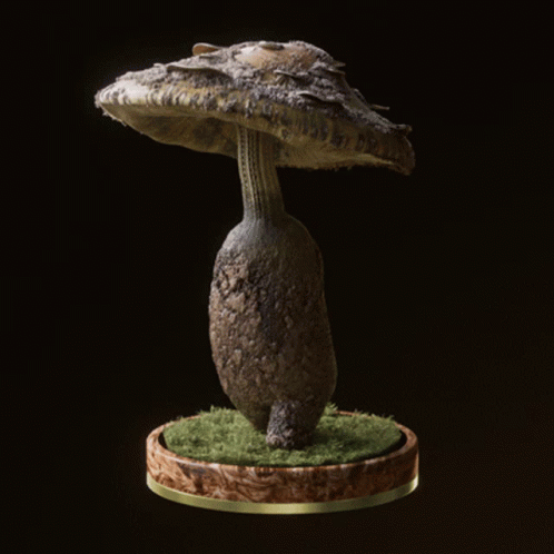 Fungi59 Fungiblefungi59 GIF