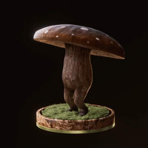 Fungi63 Fungiblefungi63 GIF