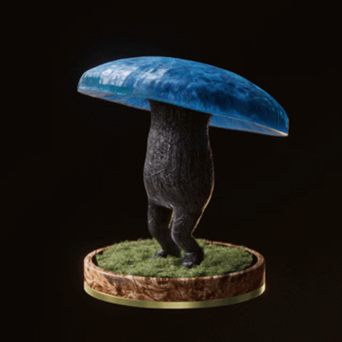 Fungi65 Fungiblefungi65 GIF
