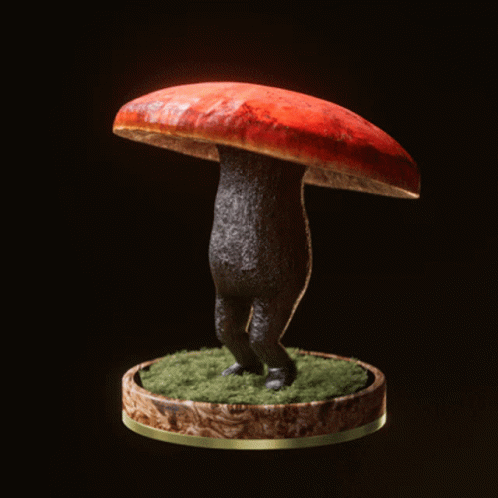 Fungi66 Fungiblefungi66 GIF