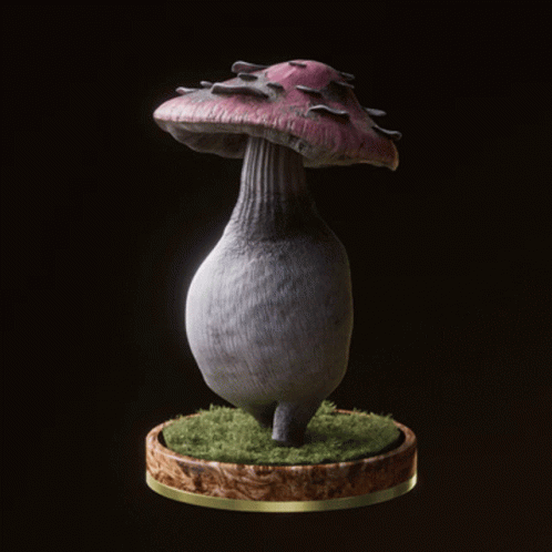 Fungi69 Fungiblefungi69 GIF