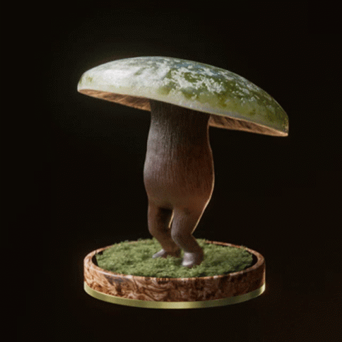 Fungi70 Fungiblefungi70 GIF
