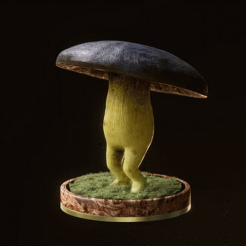 Fungi74 Fungiblefungi74 GIF
