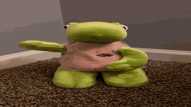 Funky Town Turtle GIF