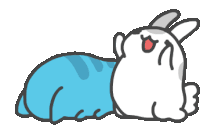 Funny Animals Cat Sticker