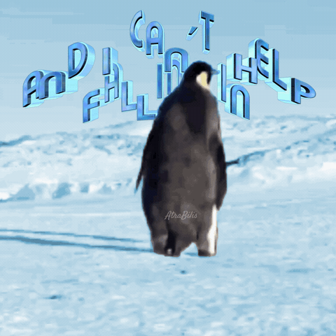 Funny Animals Funny Penguin Gif GIF